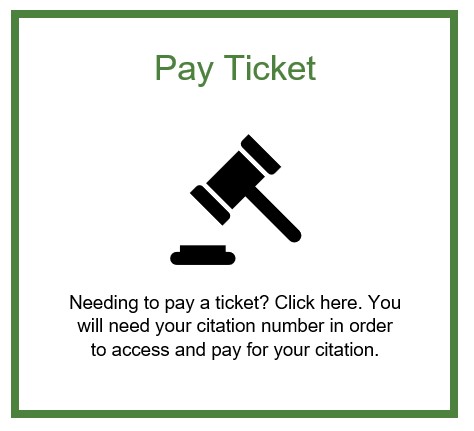 New Ticket Pay Button