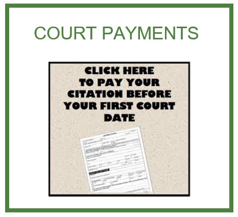 Court Payment Button